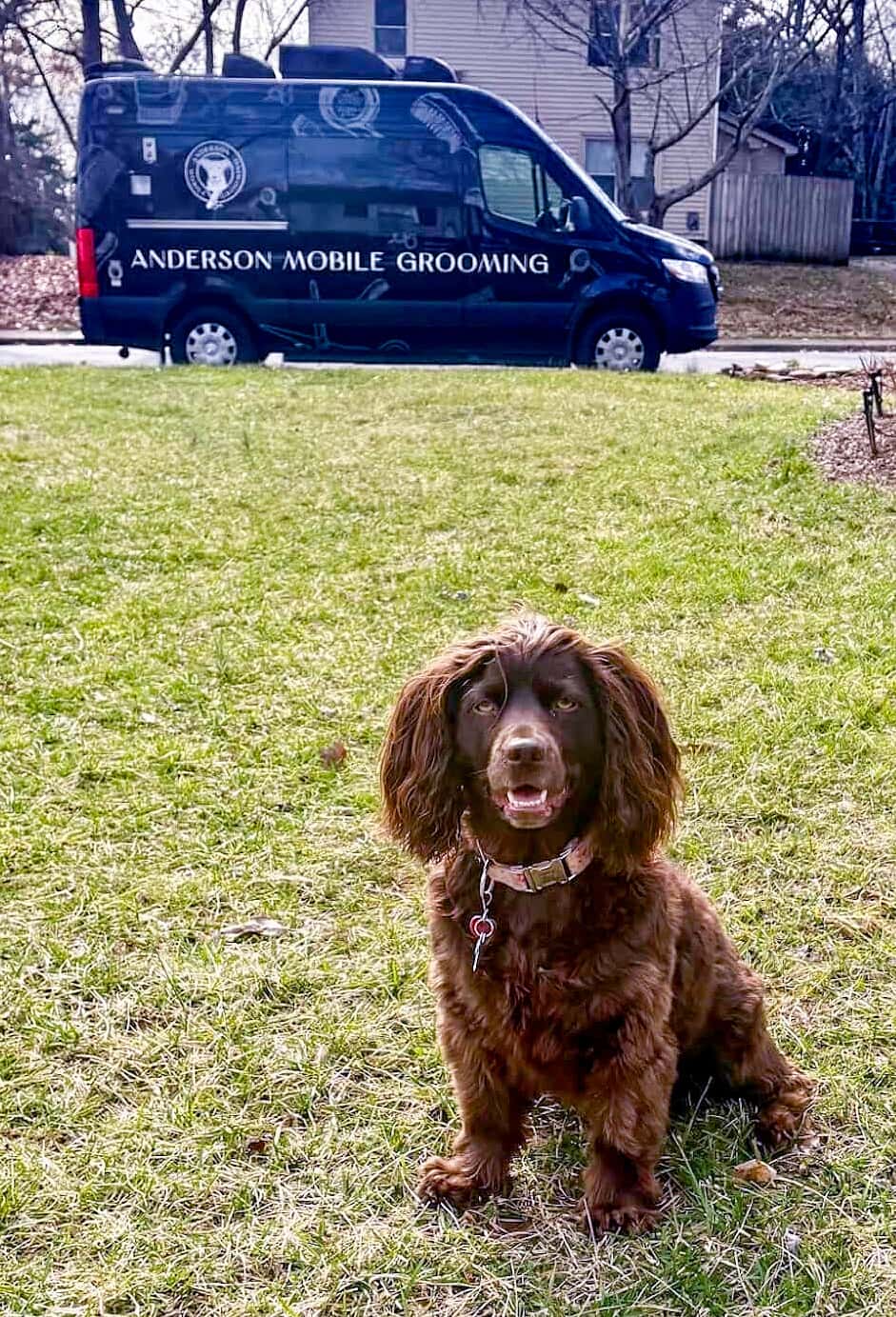 Michelle-W.-Testimonial-2